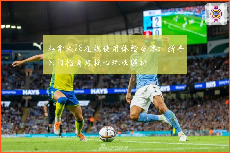 加拿大28在线使用体验分享：新手入门指南与核心玩法解析