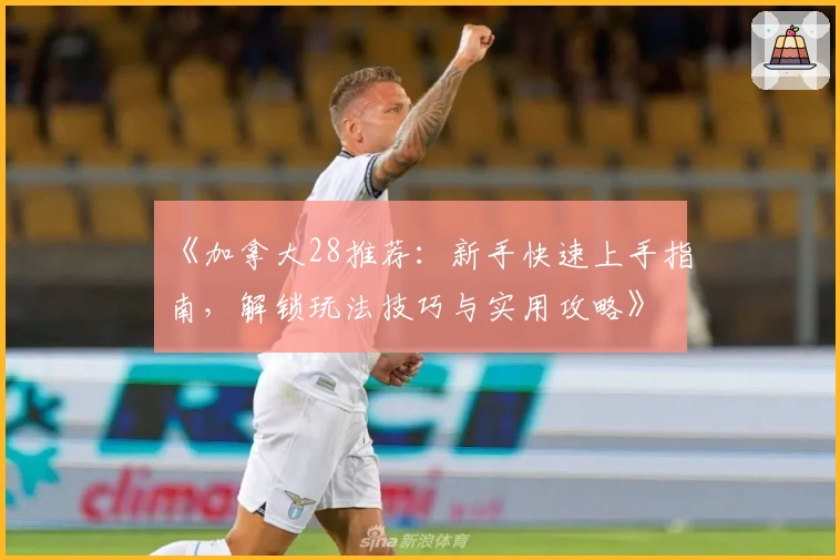 《加拿大28推荐：新手快速上手指南，解锁玩法技巧与实用攻略》