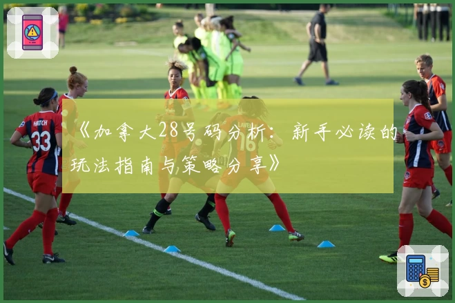 《加拿大28号码分析:新手必读的玩法指南与策略分享》