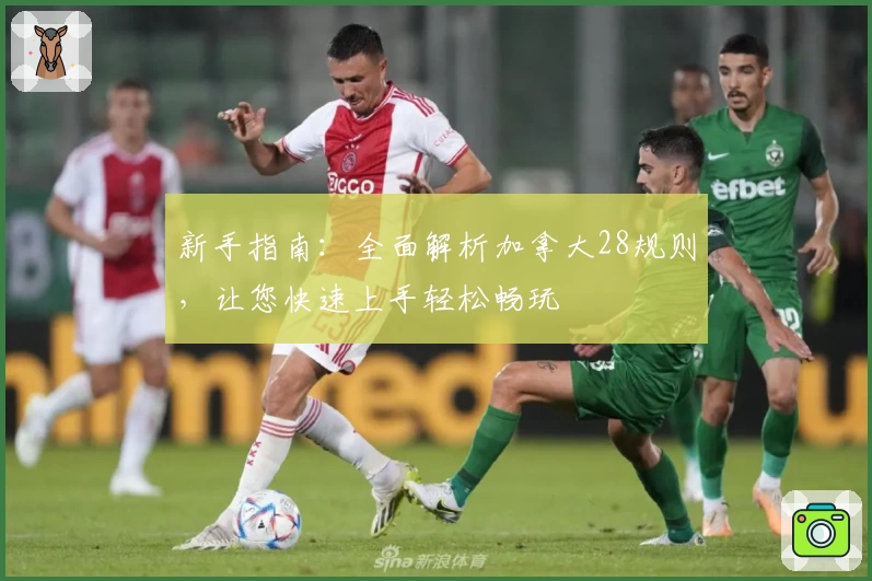 新手指南：全面解析加拿大28规则，让您快速上手轻松畅玩