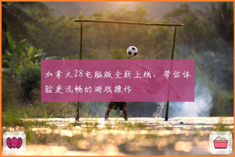 加拿大28电脑版全新上线，带你体验更流畅的游戏操作