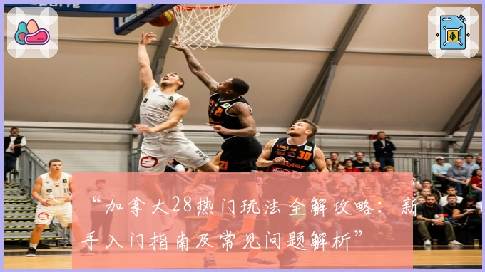 “加拿大28热门玩法全解攻略：新手入门指南及常见问题解析”