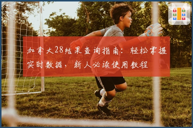 加拿大28结果查询指南：轻松掌握实时数据，新人必读使用教程