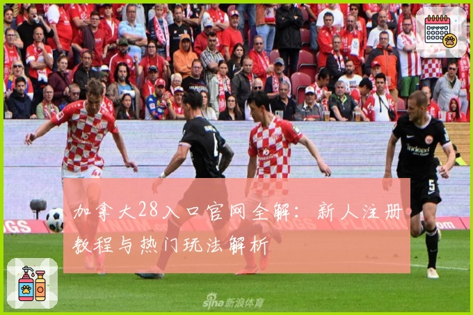 加拿大28入口官网全解：新人注册教程与热门玩法解析