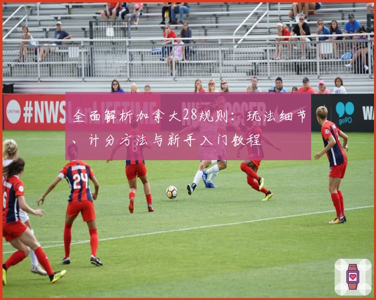 全面解析加拿大28规则：玩法细节、计分方法与新手入门教程