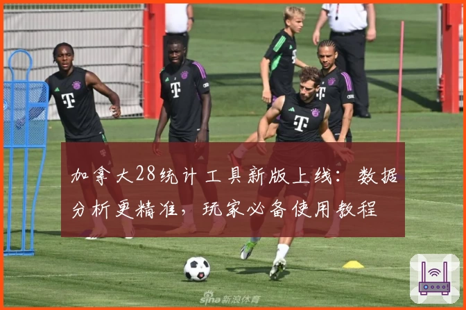 加拿大28统计工具新版上线：数据分析更精准，玩家必备使用教程