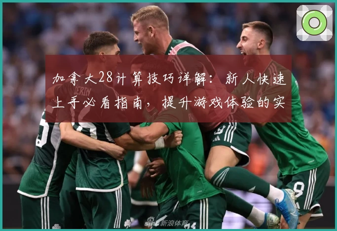 加拿大28计算技巧详解：新人快速上手必看指南，提升游戏体验的实用操作方法