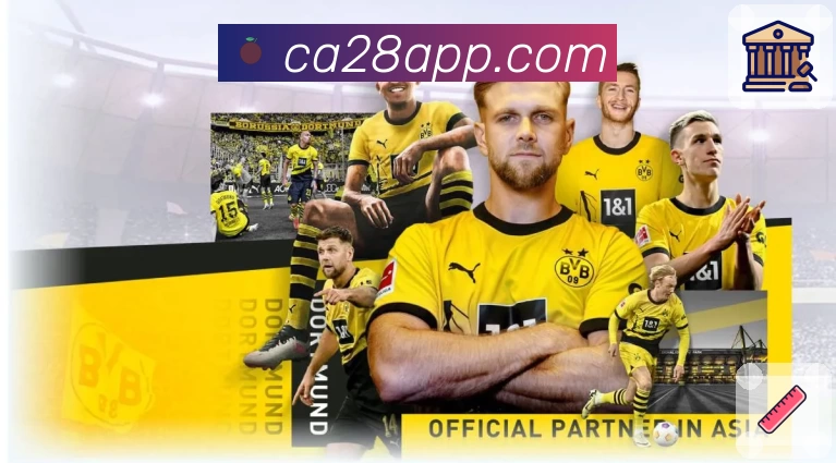 加拿大28平台生态图